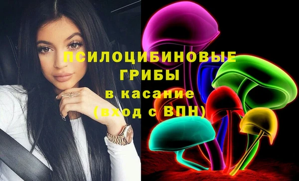 бошки Зерноград