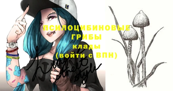 бошки Зерноград